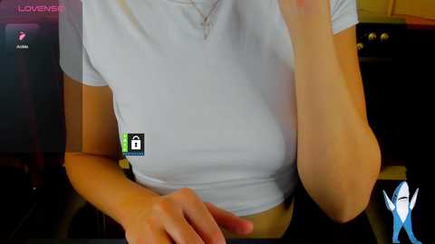 missfentasy1 @ bongacams on 20240925