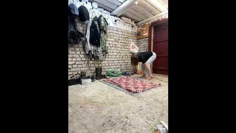 _breid_1 @ bongacams on 20240926