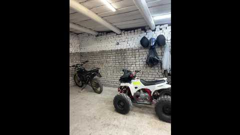 _breid_1 @ bongacams on 20240927