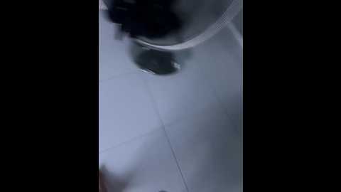 adamsfamily69 @ bongacams on 20240927