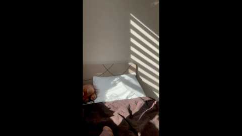 kitty2003preaty @ bongacams on 20240927