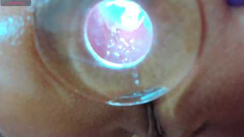 nikkahotx @ bongacams on 20240929