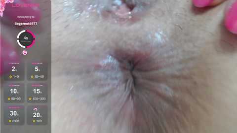 elviramilf @ bongacams on 20240930