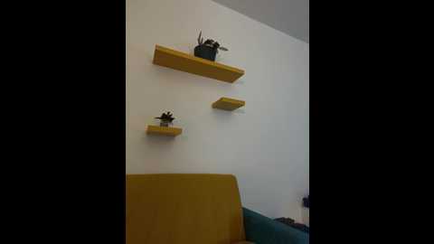 golden_cobra100 @ bongacams on 20240930