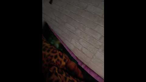 nikita9334 @ bongacams on 20241002