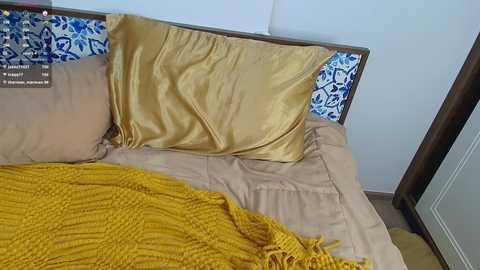 pinkie_pie @ bongacams on 20241002