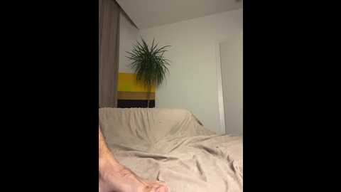 vexsana @ bongacams on 20241002