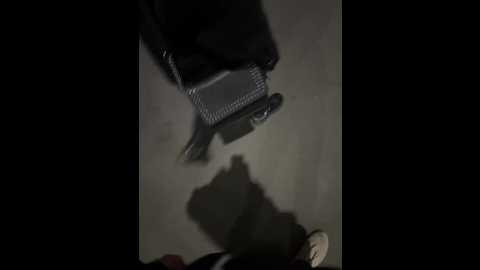 intimens @ bongacams on 20241003