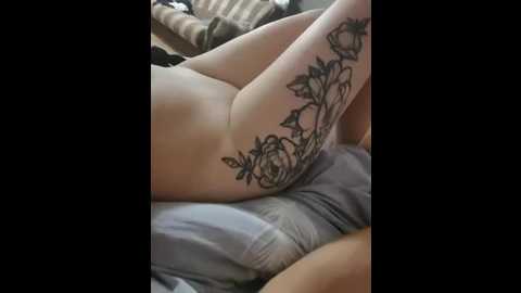 intimens @ bongacams on 20241004