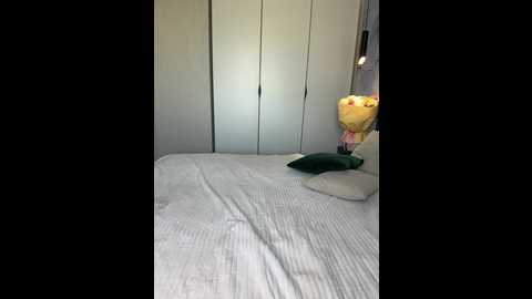 lina_star @ bongacams on 20241004