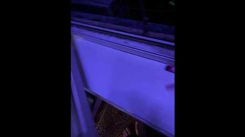 luxurygirlprim @ bongacams on 20241004