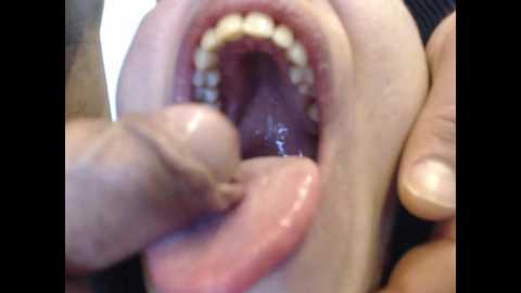 aliceanddave1 @ bongacams on 20241005