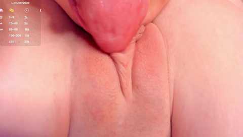 rocksbabiess @ bongacams on 20241005