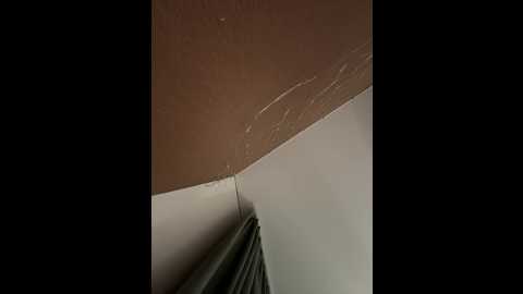 vagnermur @ bongacams on 20241005