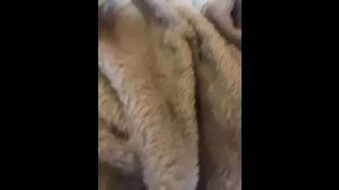 virginviolet @ bongacams on 20241005