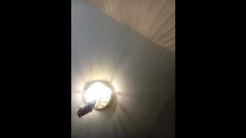 totodasha @ bongacams on 20241006