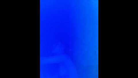 couplelovers @ bongacams on 20241007