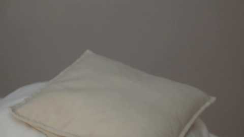 cuteshine @ bongacams on 20241007