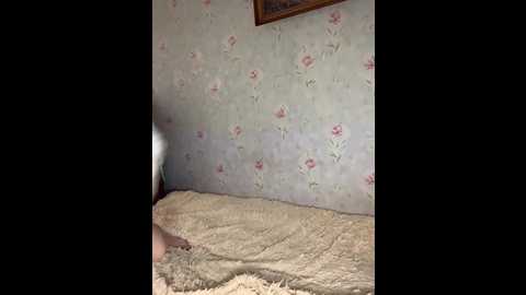 alyavass1 @ bongacams on 20241008