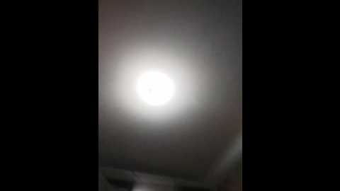 bella2006 @ bongacams on 20241009