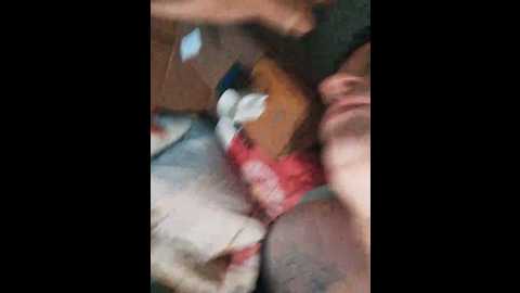 bella2006 @ bongacams on 20241009