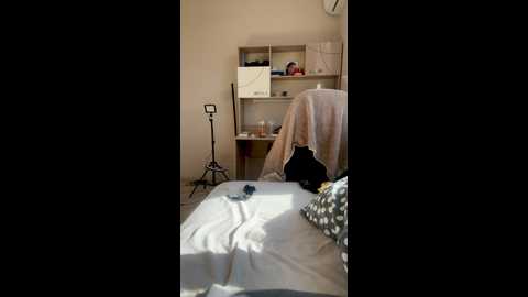 kitty2003preaty @ bongacams on 20241009
