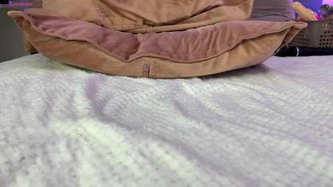ixsexs @ bongacams on 20241012