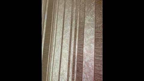 sssdaryasss @ bongacams on 20241012