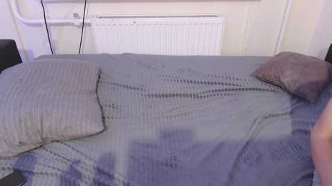 aurorandy @ bongacams on 20241013