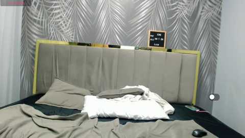 smallfoll_f1 @ bongacams on 20241013