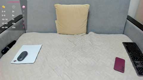 _smetanka_ @ bongacams on 20241014
