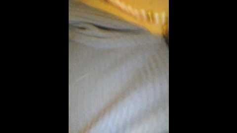 littledelora @ bongacams on 20241014
