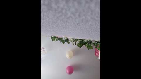 niki233221 @ bongacams on 20241014