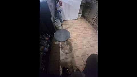 paratutt @ bongacams on 20241014