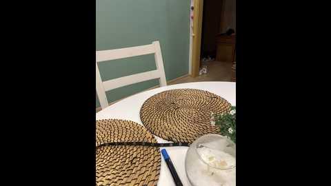 yugovi @ bongacams on 20241014