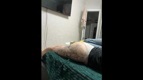 antipidorr @ bongacams on 20241015