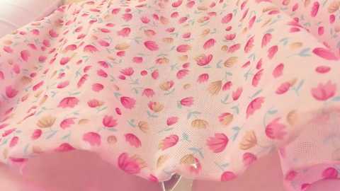 your_alice @ bongacams on 20241015