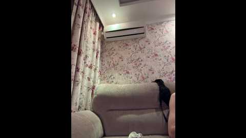 adeleadam666 @ bongacams on 20241016