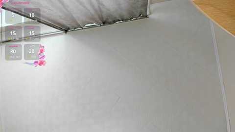 iamloli @ bongacams on 20241016