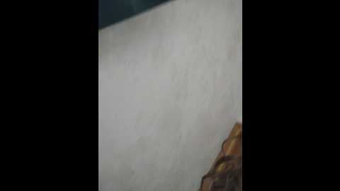 littledelora @ bongacams on 20241016