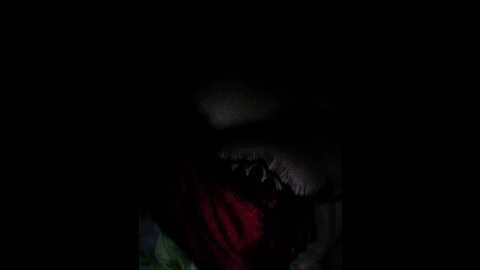 anna1202 @ bongacams on 20241017