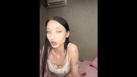 deckerson1 @ bongacams on 20241017