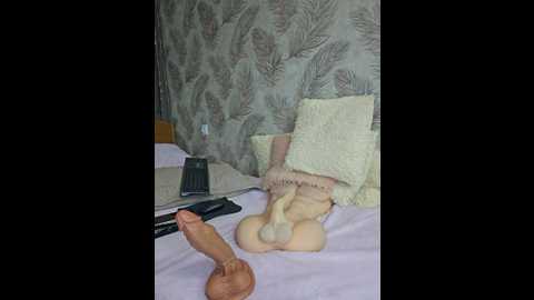 editamilf @ bongacams on 20241017