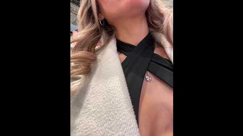 meow_777 @ bongacams on 20241017