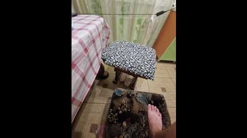 paratutt @ bongacams on 20241017