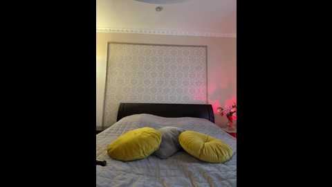 _vaka_ @ bongacams on 20241018