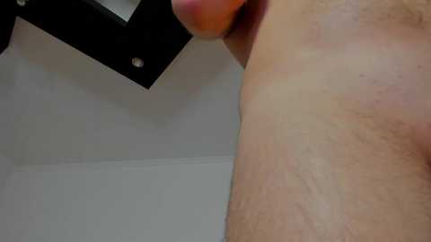 cand1ce @ bongacams on 20241018