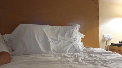 mr_and_mrs_smith_xxl @ bongacams on 20241018