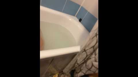 alexmarti34 @ bongacams on 20241019