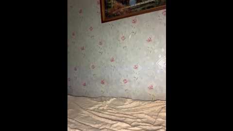 alyavass1 @ bongacams on 20241019